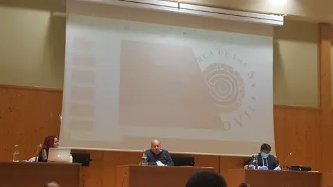 El pleno del consejo comarcal se desarroll&oacute; siguiendo las medidas de seguridad y sanidad establecidas