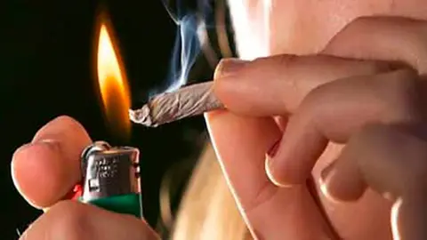 Droga porro marihuana costo hach&iacute;s