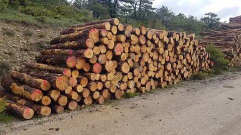 Necesitamos una pol&iacute;tica forestal Europea, pensada y dise&ntilde;ada por la gente del territorio, de abajo hacia arriba