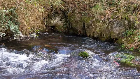 Nacedero r&iacute;o Queiles
