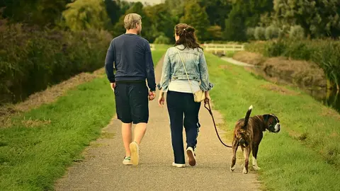 paseo pasear perro andar