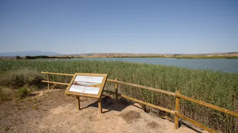 Instalados cuatro nuevos observatorios ornitol&oacute;gicos en la Ribera de Navarra
