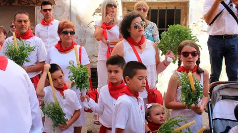 Albahaca en la procesi&oacute;n de Santa Ana