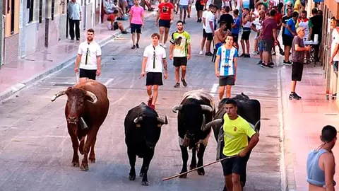 Encierro de la ganader&iacute;a Hermanos Gracia Blasco de Fusti&ntilde;ana 1163