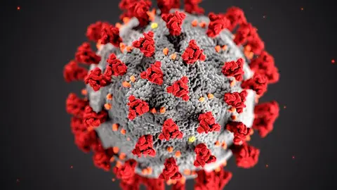 coronavirus covid-19 4