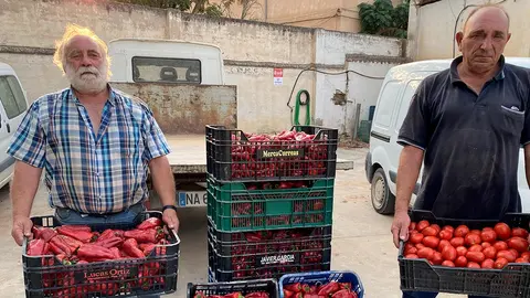 Los hermanos Navarro, Javier y Luis, son hortelanos de toda la vida en Tudela