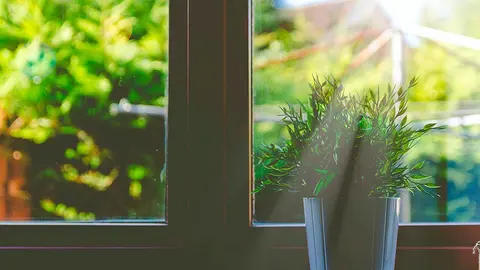 hogar planta ventana casa sostenible sostenibilidad luz naturaleza
