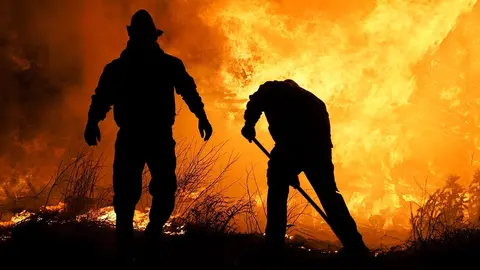 extinguir fuego incendio bosque arde bomberos llamas llamaradas ardiendo naturaleza