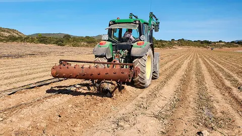 Primer ensayo piloto del proyecto Ecocirplas