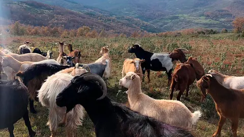 &Aacute;reas rurales de La Rioja