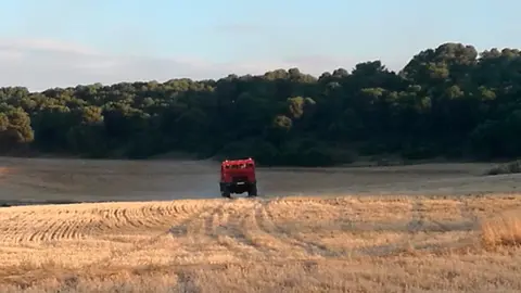 Una zona de monte de la Bardena Baja de S&aacute;daba sufri&oacute; las consecuencias de un incendio este verano