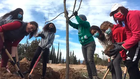 Nueva &aacute;rea arbolada en el Villar de Corella 2