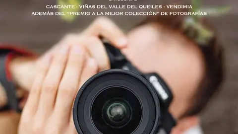 VII Concurso de fotograf&iacute;a &lsquo;Fotovino&rsquo; de Mal&oacute;n de Echaide