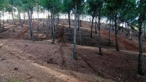 Santa Quiteria