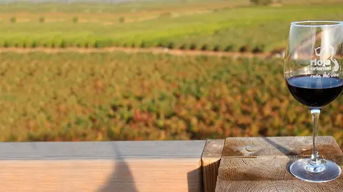 Copa de vino DOC Rioja