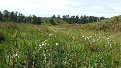 Turbera de Arxuri, en Bazt&aacute;n, un espacio protegido e incluido en la Red Natura 2000