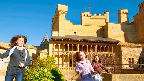Castillo de Olite