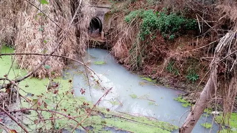Vertido de aguas residuales al Alhama en Corella