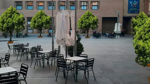 Fotografias arbolado plaza de la Juder&iacute;a 2