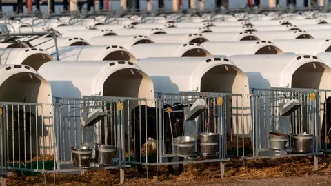 Se conf&iacute;a en que la modificaci&oacute;n de la ley de sanidad animal que estudia el Gobierno de Navarra ofrezca seguridad jur&iacute;dica ante estas grandes instalaciones