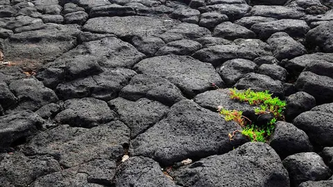 La roca y la civilizaci&oacute;n fueron hechas la una para la otra. ROCKWOOL aprovecha al m&aacute;ximo esta relaci&oacute;n para mejorar nuestra salud, bienestar y confort