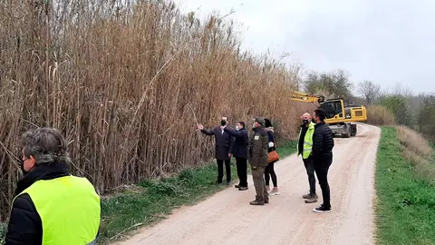 Eliminaci&oacute;n de flora invasora orilla Ebro 2