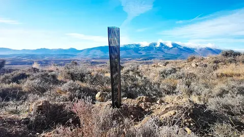 Plantaci&oacute;n de 150.000 &aacute;rboles en La Diezma 2