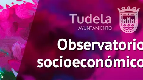 Observatorio socioecon&oacute;mico de Tudela