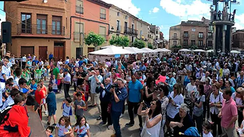 Aldeanueva de Ebro, Ciudad del Vino