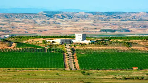 La Finca Bolandin posee 200 hect&aacute;reas totales donde se encuentra el Vi&ntilde;edo, la Bodega, el Hotel y el Restaurante de Pago de Cirsus