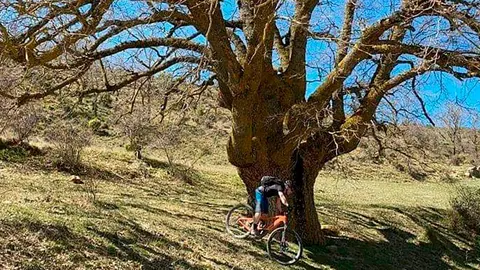 El chaparro de An&aacute;s, en Uncastillo, es uno de los lugares por los que pasa la nueva ruta enduro