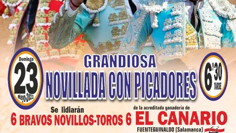 Novillada con picadores en Tudela