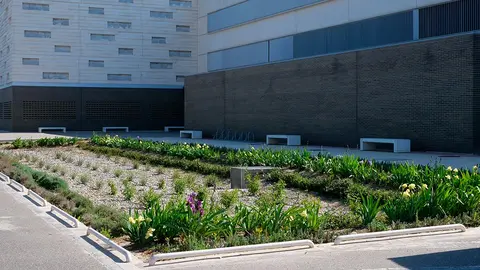 Jard&iacute;n instalado en la UPNA de Tudela