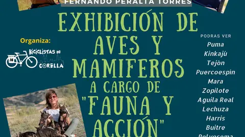 Exhibici&oacute;n de aves y mam&iacute;feros a cargo de Fauna y Acci&oacute;n