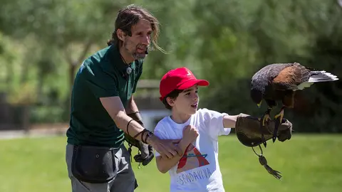 Espect&aacute;culo Rapaces