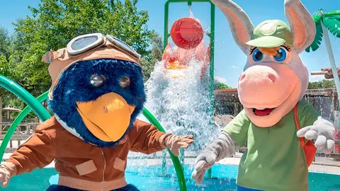 Splash