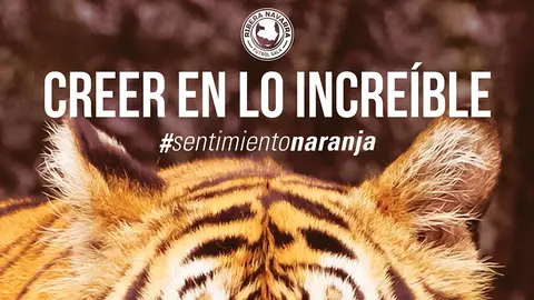 Navarra campa&ntilde;a abonados home