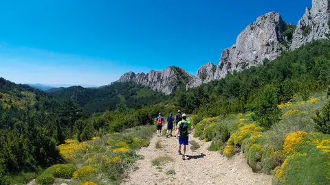 La Comarca de Cinco Villas cuenta con grandes recursos tur&iacute;sticos como la Sierra de Santo Domingo, declarada Espacio Natural Protegido