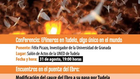 Semana de las ef&iacute;meras en Tudela