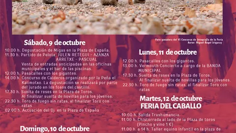Ferias 2021 en Marcilla