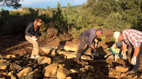 Durante estos pr&oacute;ximos d&iacute;as se est&aacute; llevando a cabo una actuaci&oacute;n arqueol&oacute;gica en los lagares del municipio cincovill&eacute;s de Luna