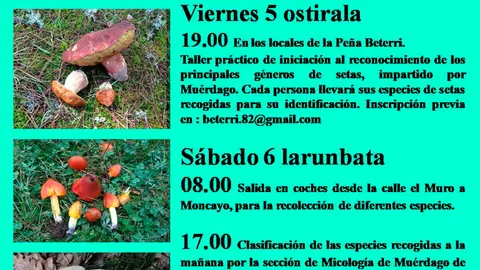 XXII Jornadas micol&oacute;gicas en Tudela de la Pe&ntilde;a Beterri