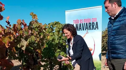El corte del &uacute;ltimo racimo de uva, protagonizado por la consejera de Desarrollo Rural y Medio Ambiente del Gobierno de Navarra, Itziar G&oacute;mez oficializa el fin de una vendimia excelente