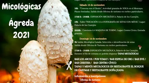 Jornadas micol&oacute;gicas de &Aacute;greda 2021