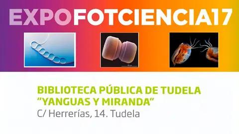 Exposici&oacute;n en Tudela de fotograf&iacute;a cient&iacute;fica &lsquo;FOTCIENCIA17&rsquo;