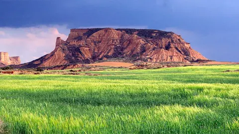 Bardenas LifeFarming Autor foto Bardenas Reales