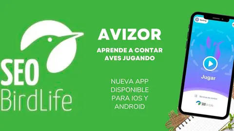 Hay varias estrategias para hacer estimas de forma correcta que ahora los aficionados a las aves pueden practicar con esta nueva app llamada Avizor