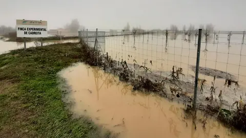 La finca experimental de INTIA en Cadreita durante las inundaciones el pasado diciembre