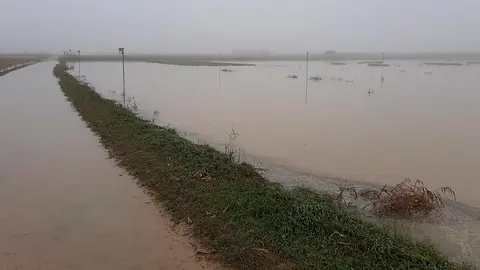 Inundaciones en la finca experimental de INTIA en Cadreita el pasado diciembre