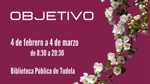 Exposici&oacute;n en Tudela &lsquo;Nuestro objetivo&rsquo; de la Asociaci&oacute;n Fotogr&aacute;fica Tudelana